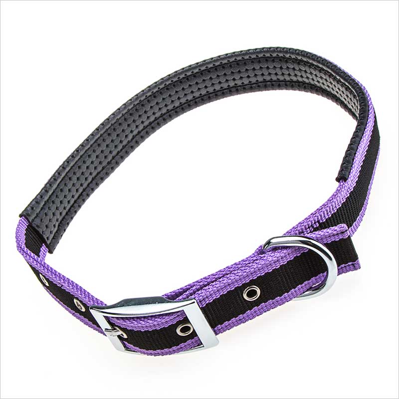 Flat adjustable padded purple nylon dog collar