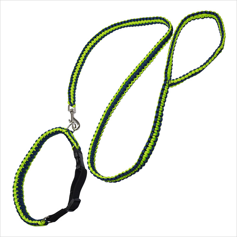 Paracord braided rope dog leash and collar