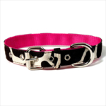 Custom personalized hunting dog collars and leashes