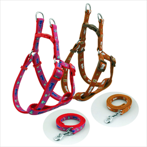 Quality dog collar harness and leash set