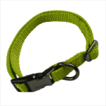 Custom adjustable green nylon dog collars
