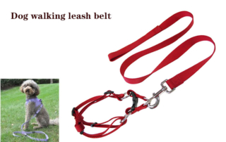 dog walking leash belt