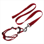 Red adjustable harness dog collar combination